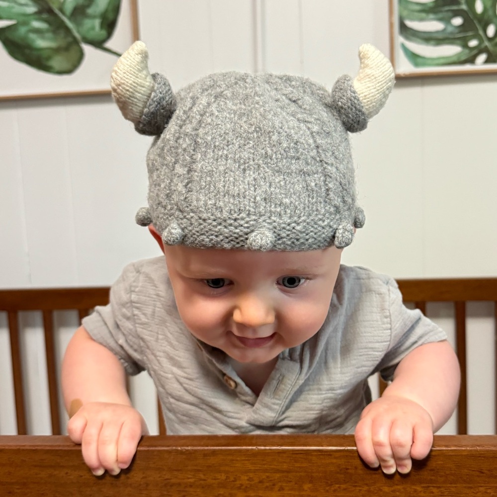 Viking hat